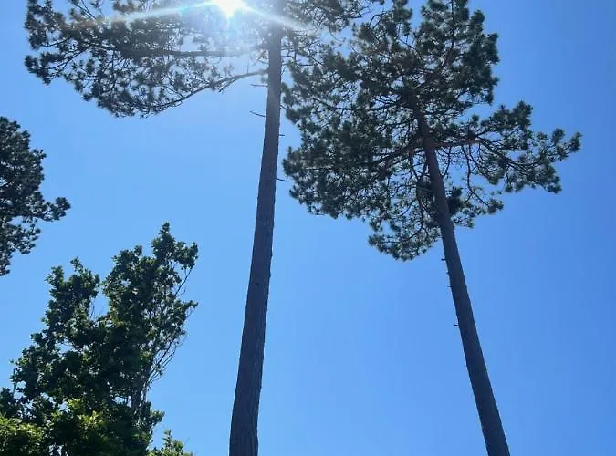 Kotwica Gerendaház *